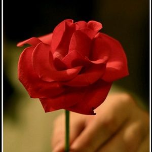 Meet your Posher, Ericka